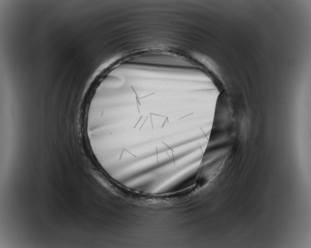 X0000083031026200703022021