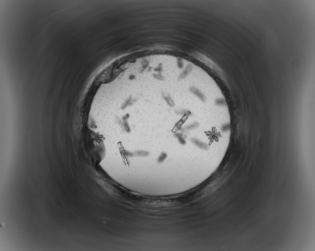 X0000083031027200703022021