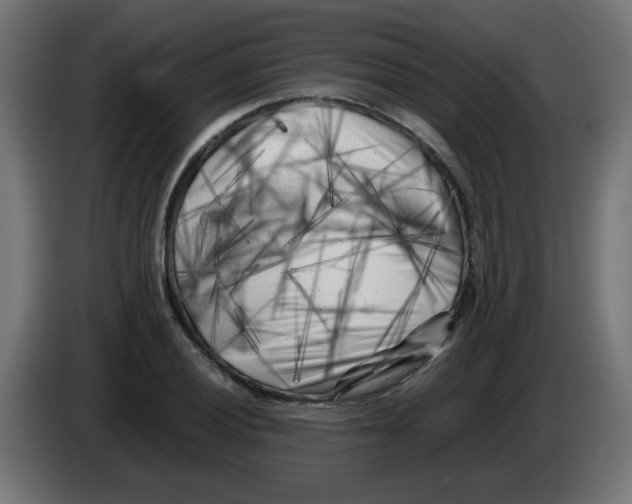 X0000083031028200703022021