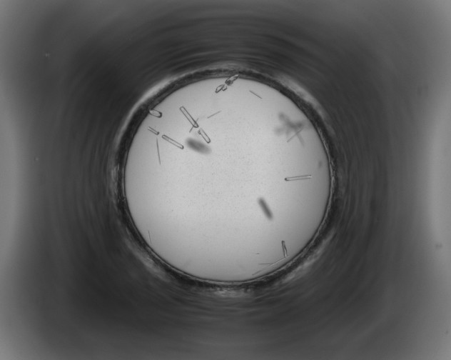 X0000083031029200703022021