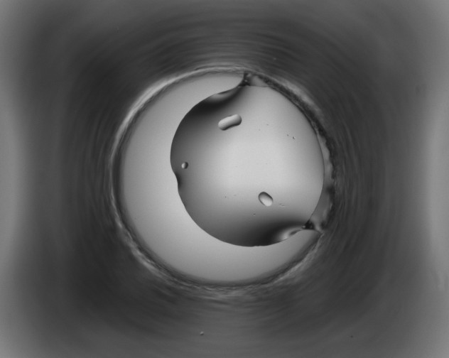 X0000083031030200703022022