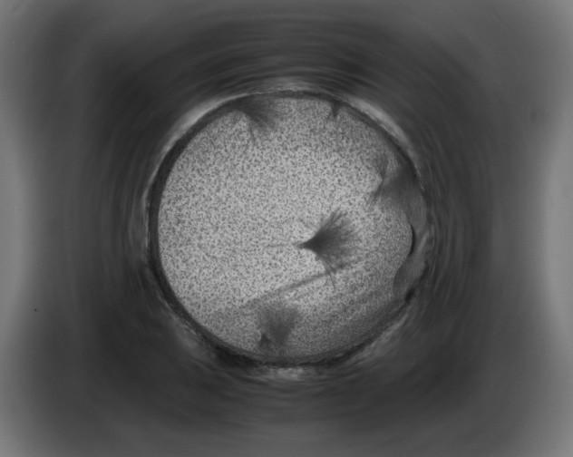 X0000083031031200703022022