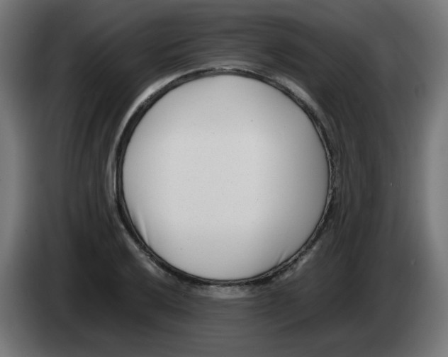 X0000083031032200703022022