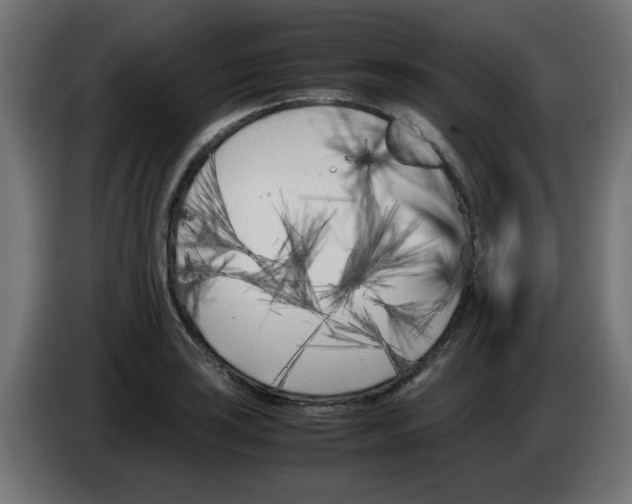 X0000083031035200703022022