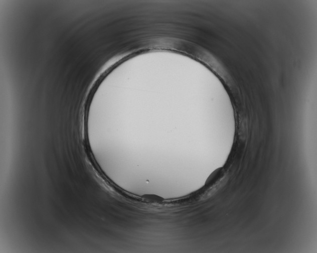 X0000083031036200703022022