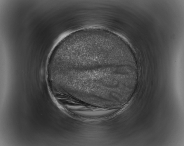 X0000083031038200703022022