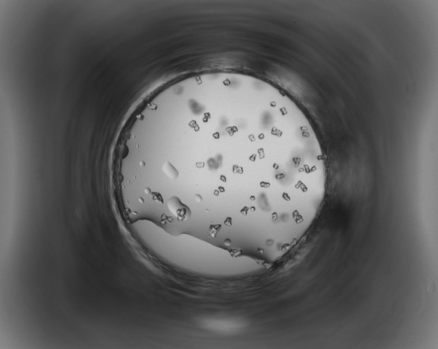 X0000083031039200703022022