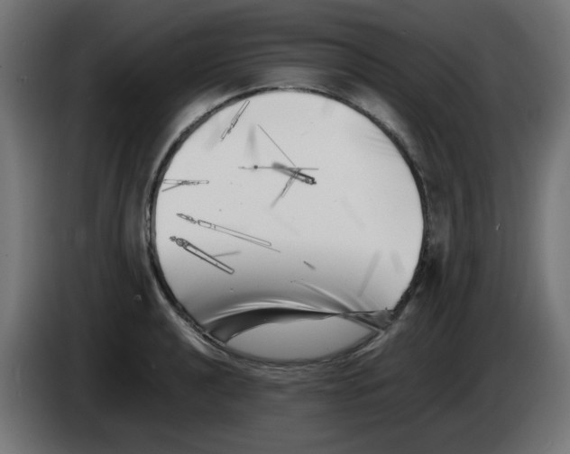 X0000083031040200703022022