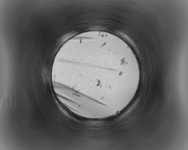 X0000083031041200703022022