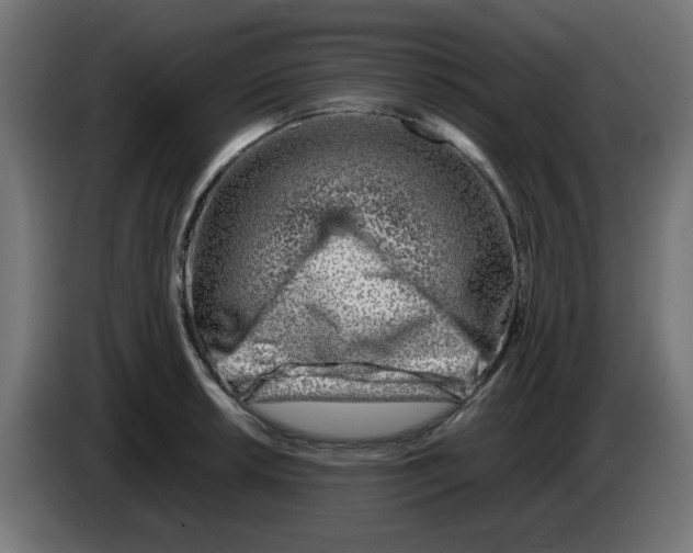 X0000083031042200703022022