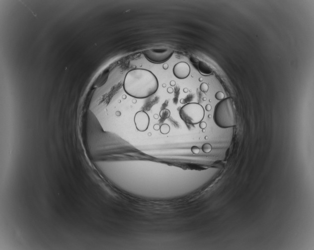 X0000083031043200703022022