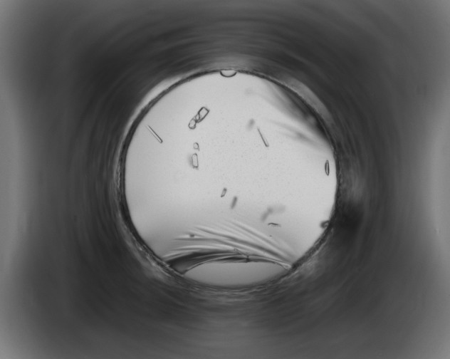 X0000083031044200703022022