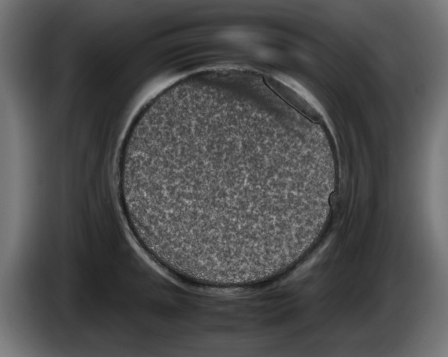 X0000083031045200703022022