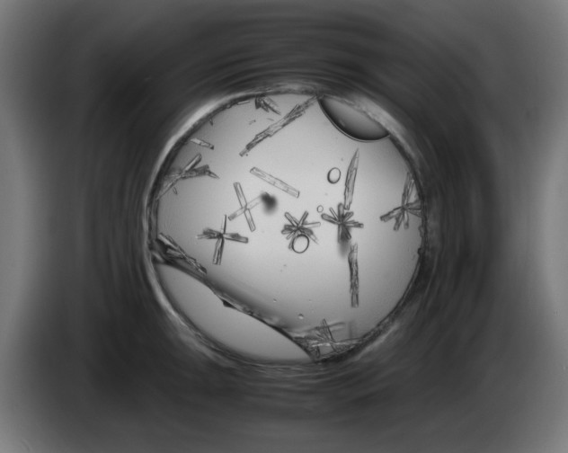 X0000083031047200703022022