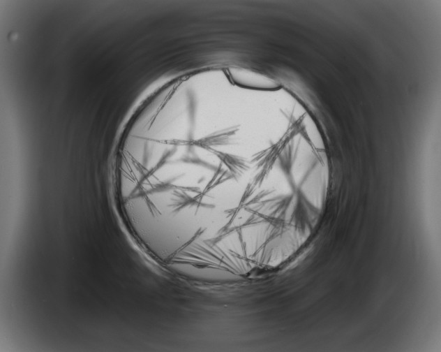 X0000083031048200703022022