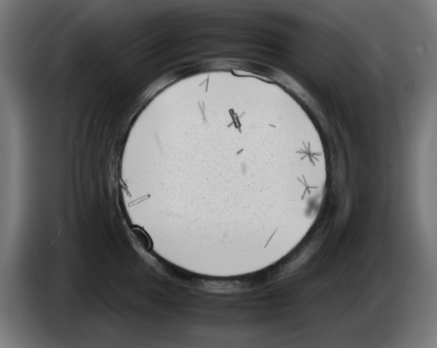 X0000083031049200703022022