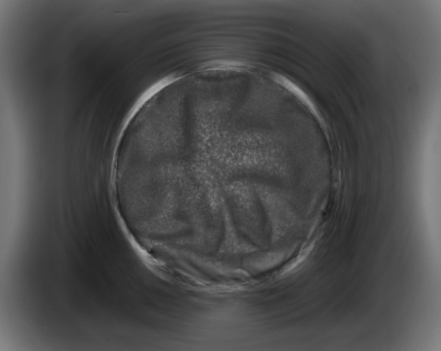 X0000083031050200703022022