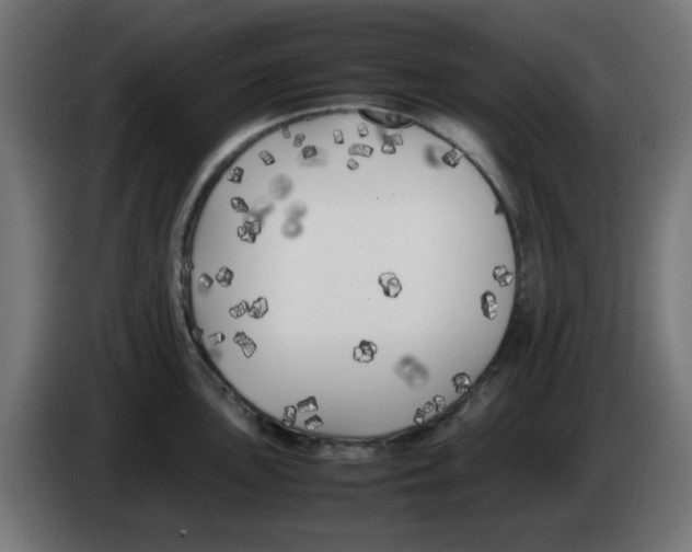 X0000083031051200703022022