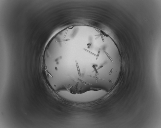 X0000083031052200703022022