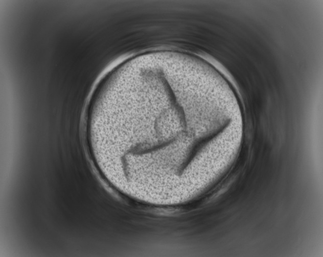 X0000083031053200703022022