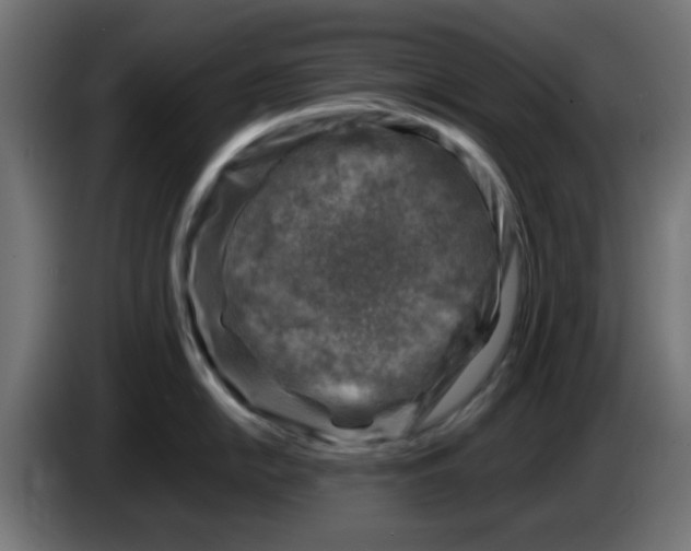 X0000083031054200703022022