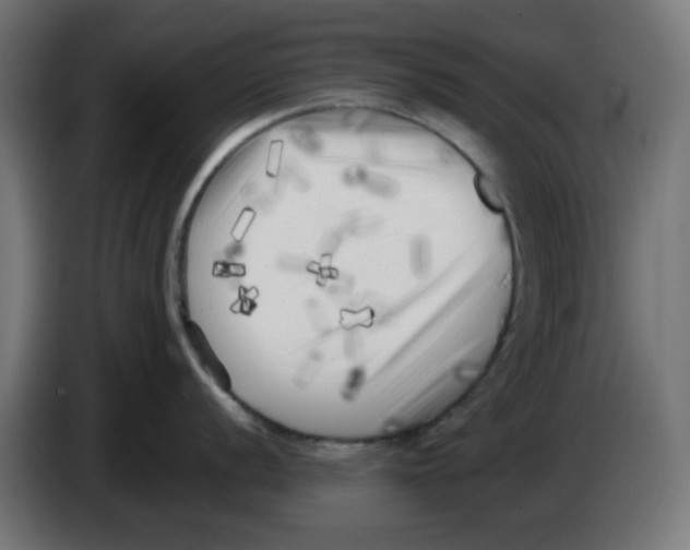 X0000083031056200703022022