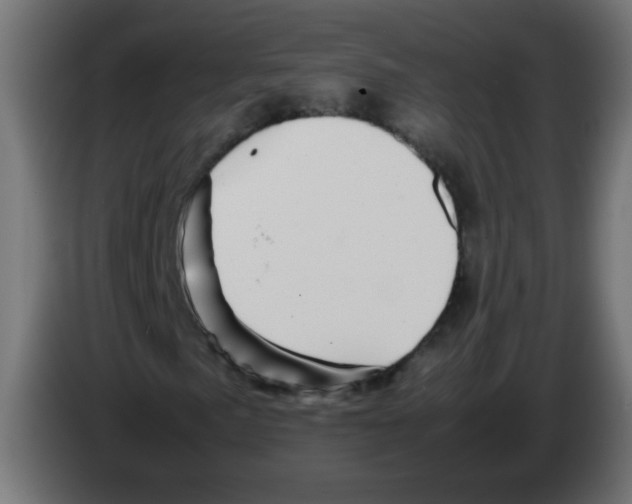 X0000083031057200703022021