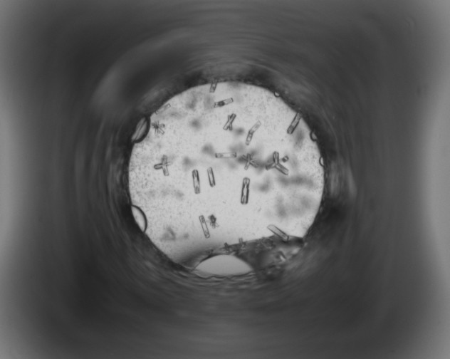 X0000083031059200703022021