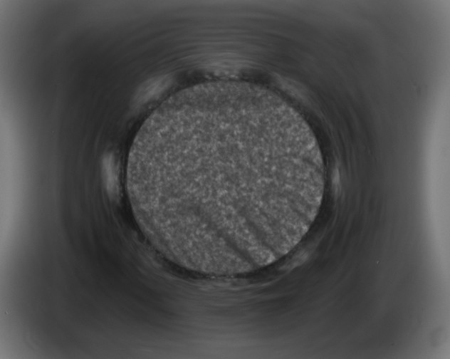 X0000083031060200703022021