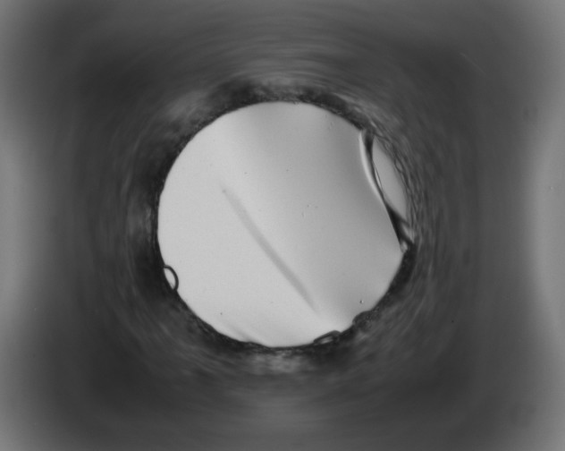 X0000083031061200703022021