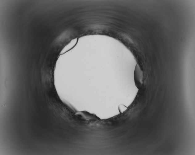 X0000083031062200703022021