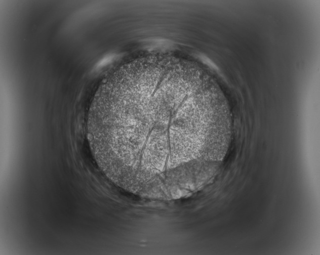 X0000083031063200703022021