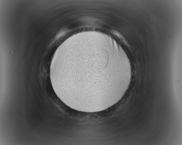 X0000083031064200703022021