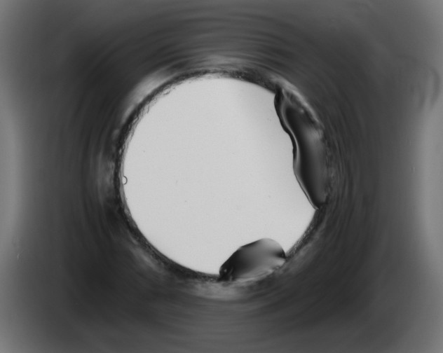 X0000083031066200703022021