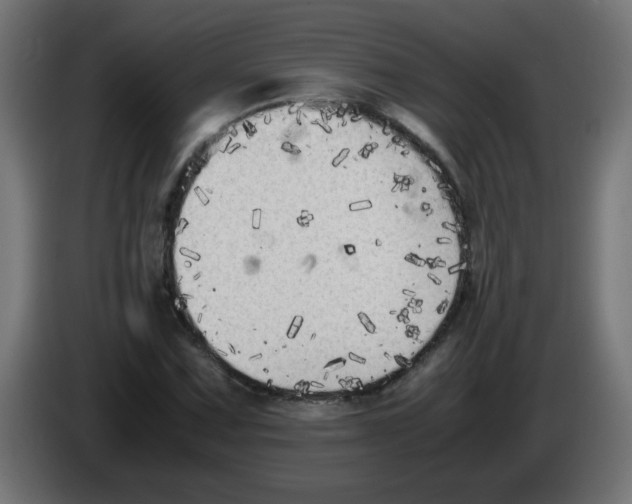 X0000083031067200703022021