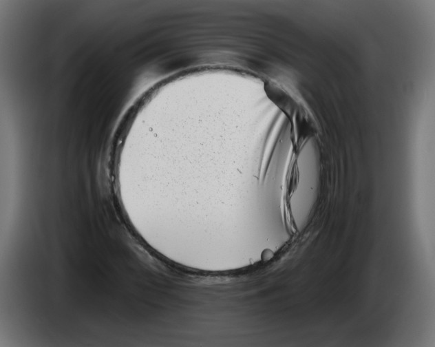 X0000083031068200703022021