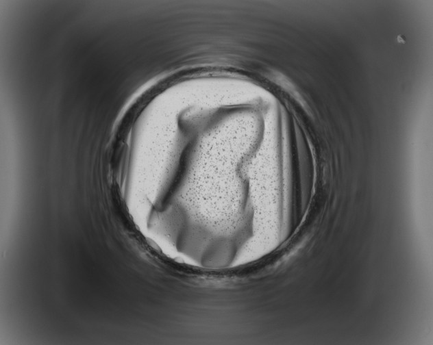 X0000083031069200703022021