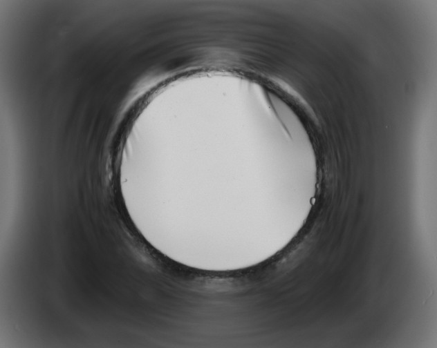 X0000083031070200703022021