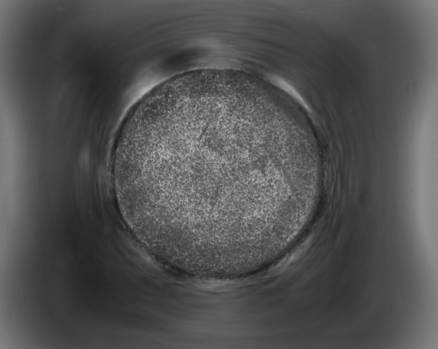 X0000083031071200703022021