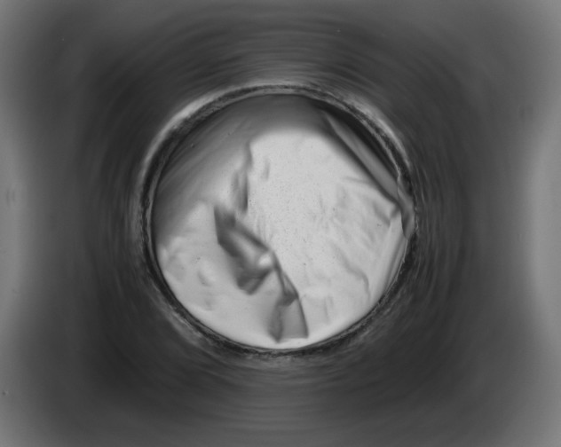 X0000083031072200703022021