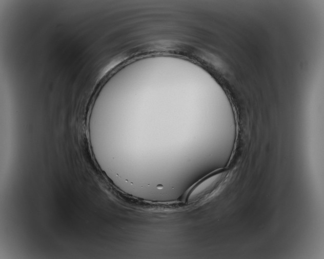 X0000083031073200703022021