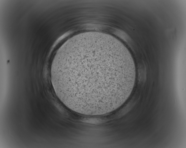 X0000083031074200703022021