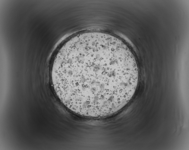 X0000083031075200703022021