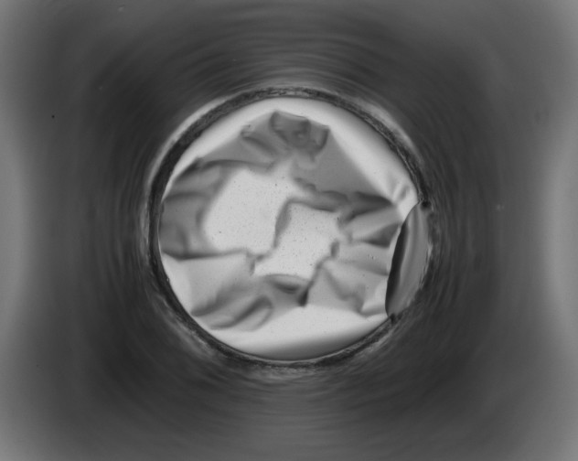 X0000083031076200703022021