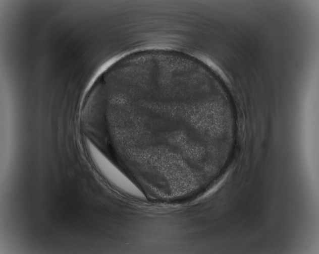 X0000083031077200703022021