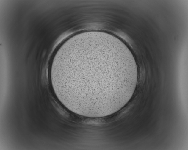 X0000083031078200703022021