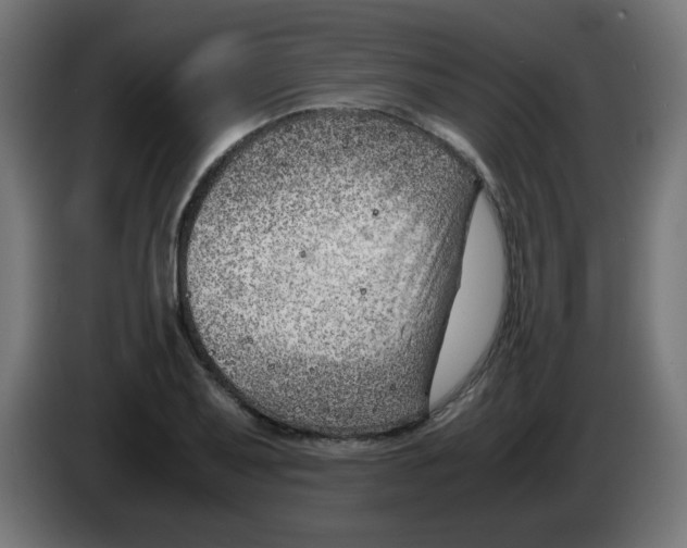 X0000083031079200703022021