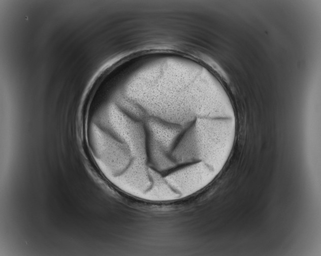 X0000083031080200703022021