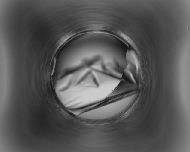 X0000083031081200703022021