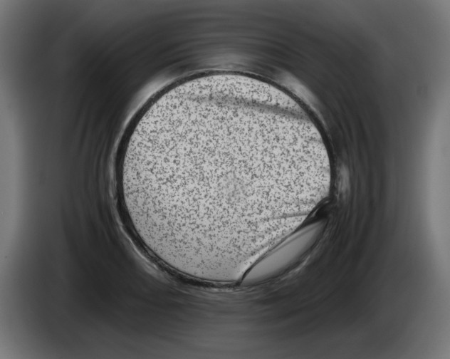 X0000083031082200703022021